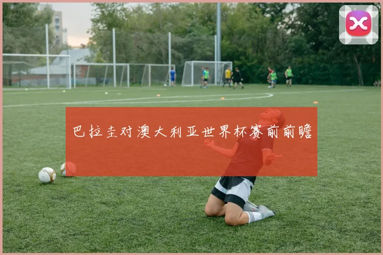 巴拉圭对澳大利亚世界杯赛前前瞻