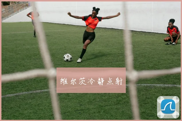 维尔茨冷静点射