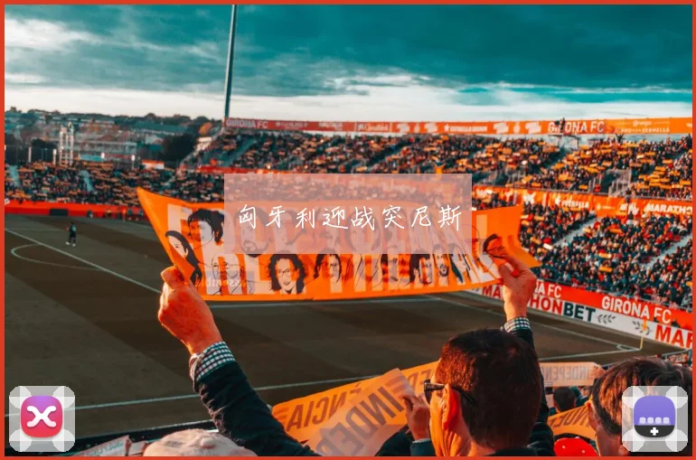匈牙利迎战突尼斯