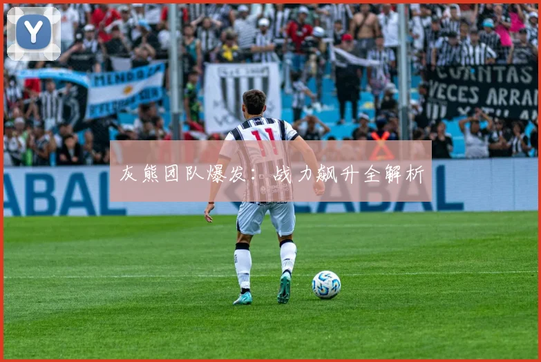 灰熊团队爆发：战力飙升全解析