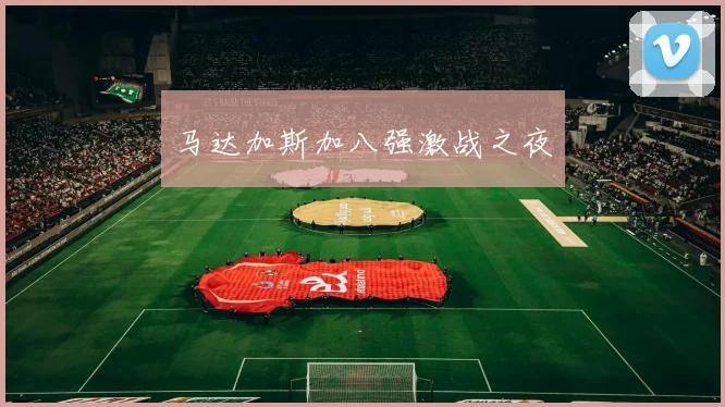马达加斯加八强激战之夜