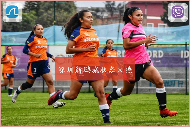 深圳新鹏城状态火热
