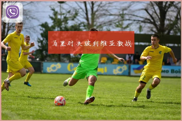 马里对决玻利维亚激战
