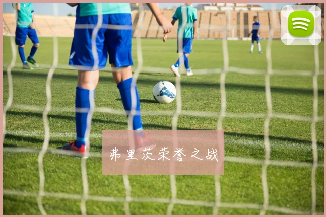 弗里茨荣誉之战
