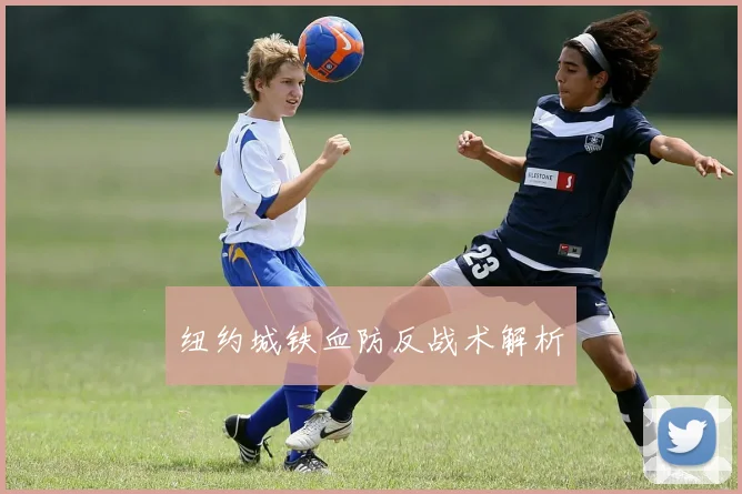 纽约城铁血防反战术解析
