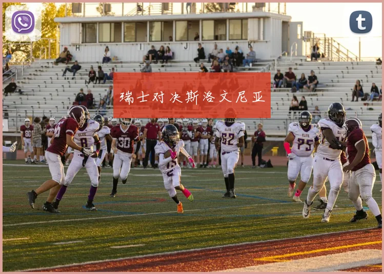 瑞士对决斯洛文尼亚