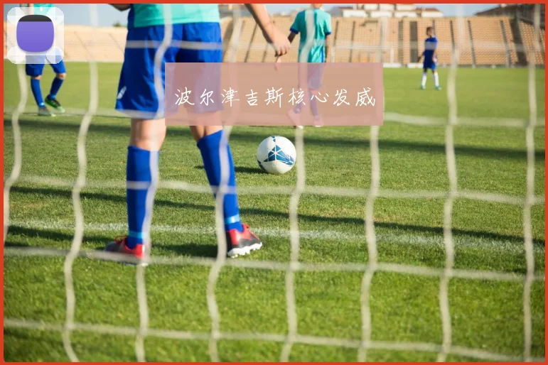 波尔津吉斯核心发威