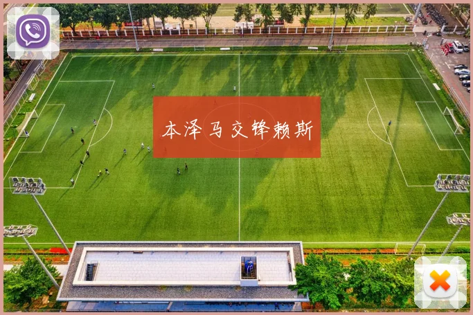 本泽马交锋赖斯