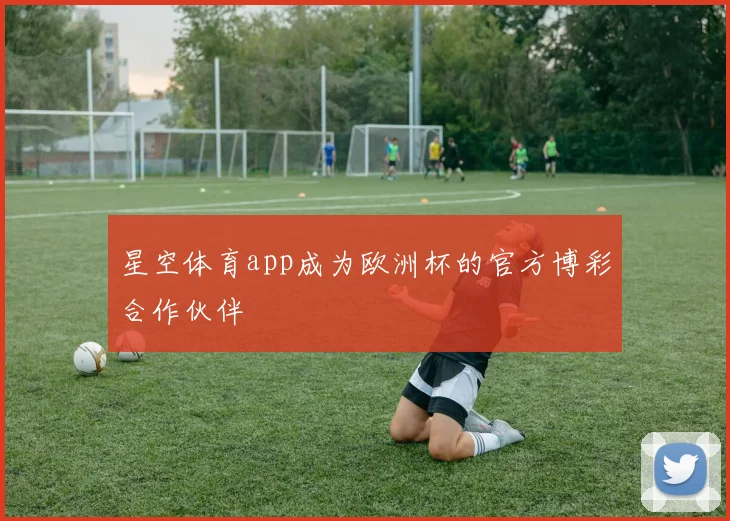星空体育app成为欧洲杯的官方博彩合作伙伴