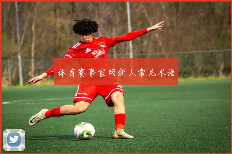 体育赛事官网新人常见术语