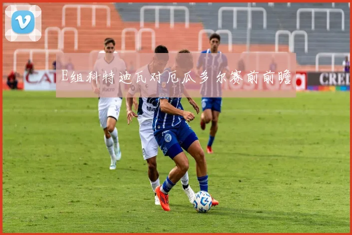 E组科特迪瓦对厄瓜多尔赛前前瞻
