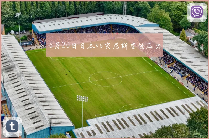 6月20日日本vs突尼斯客场压力