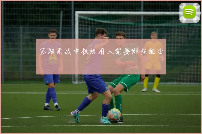 苏超雨战中教练用人需要哪些配合