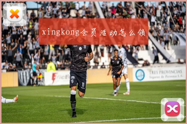 xingkong会员活动怎么领